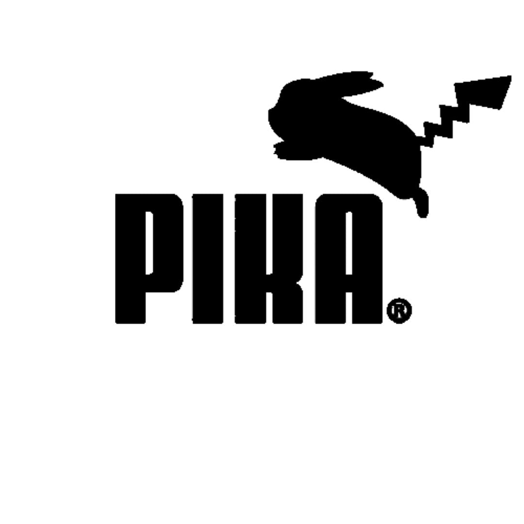 Chaussettes B & S Socks - Pika
