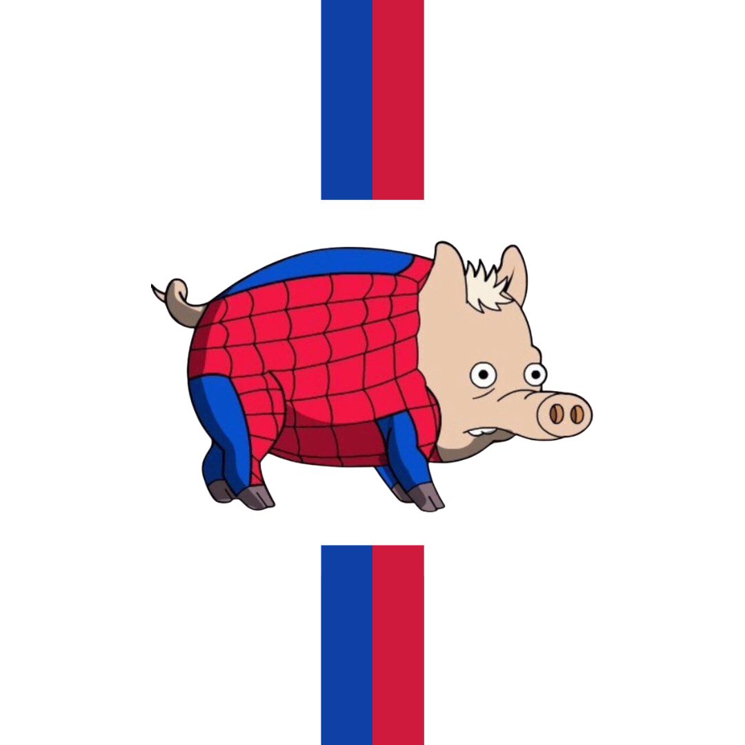 Chaussettes B & S Socks - Spider Cochon