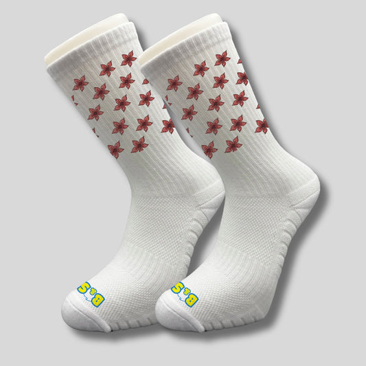 Chaussettes B & S Socks - Demo Monstre